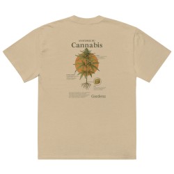 T-shirt oversize délavé - Anatomie